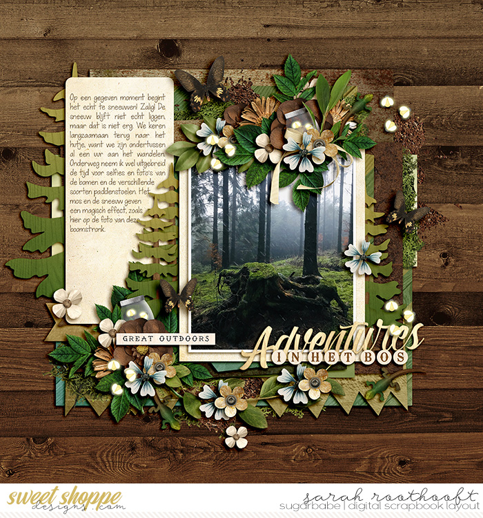 Adventures in het bos