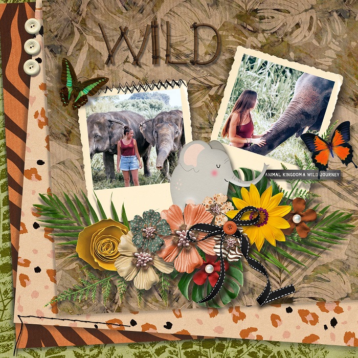 Adventurous savanna