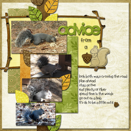 ~Advice From A Squirrel~  COokie #48