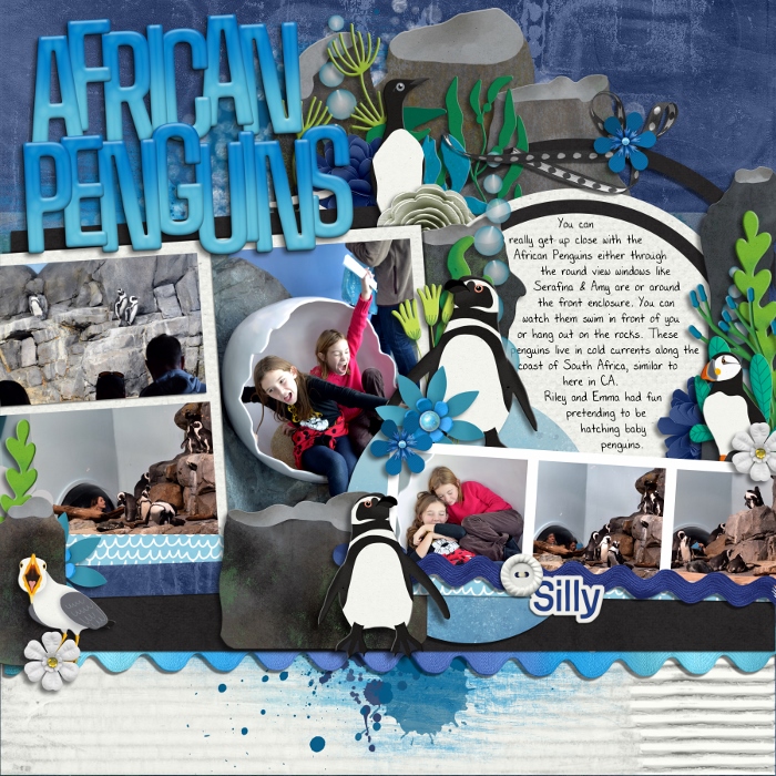 African Penguins