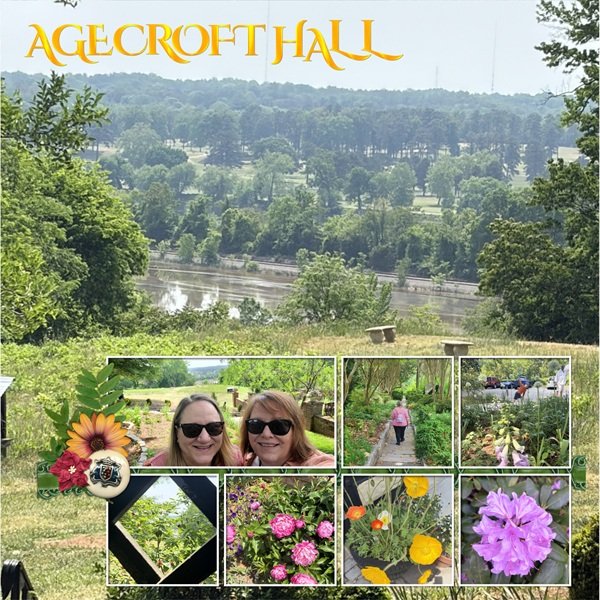 alive and photo background.jpg
