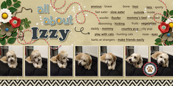 all about izzy