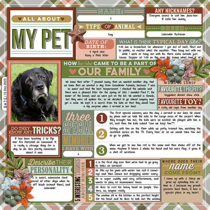 All About My Pet