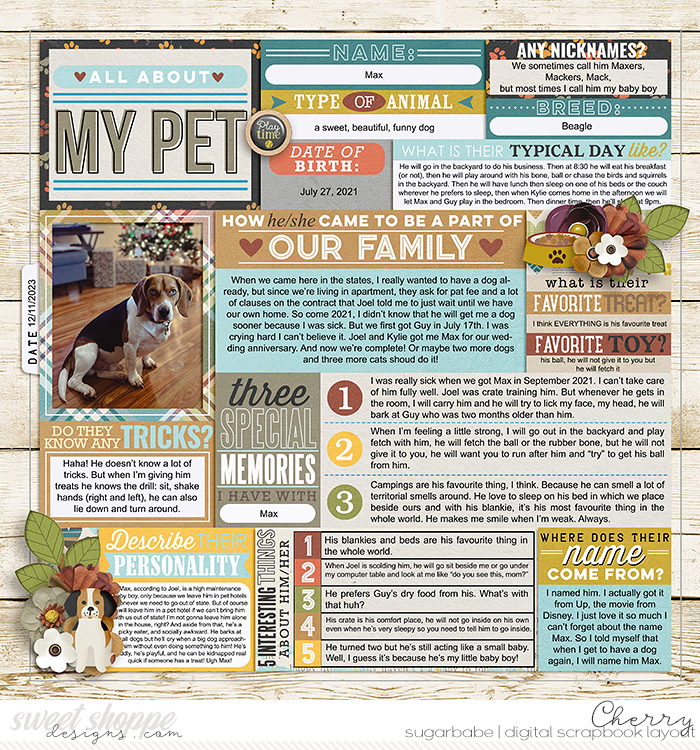 All About My Pet