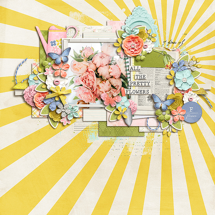all the pretty flowers