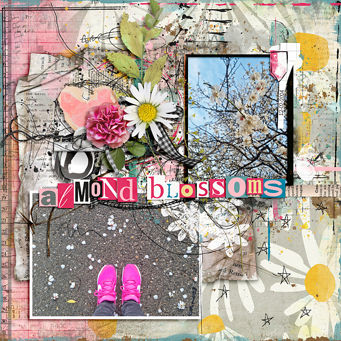 Almond blossoms