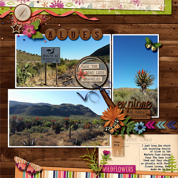 Aloes