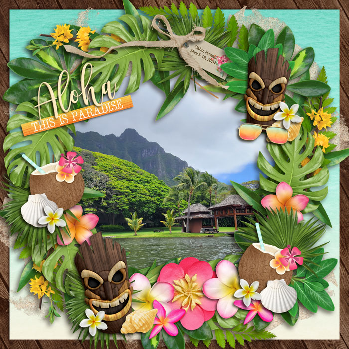 Aloha from Hawaii