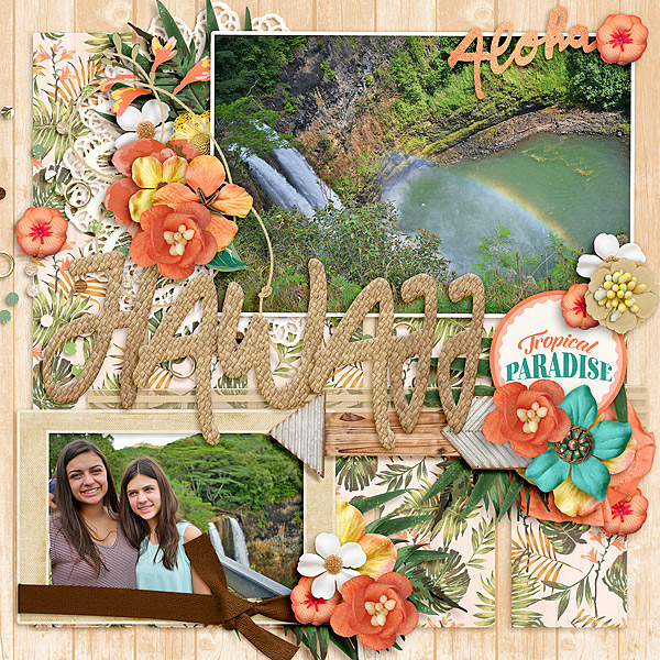 Aloha Hawaii