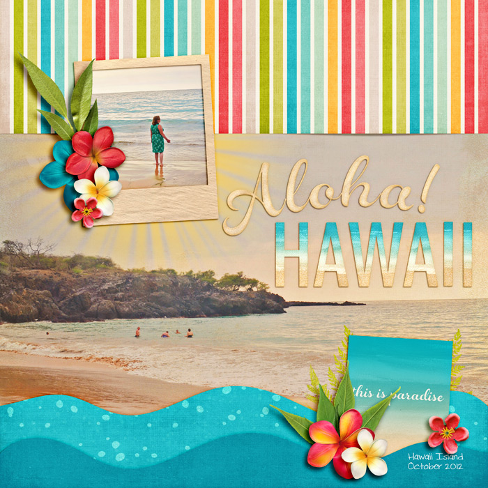 aloha-hawaiiSSD