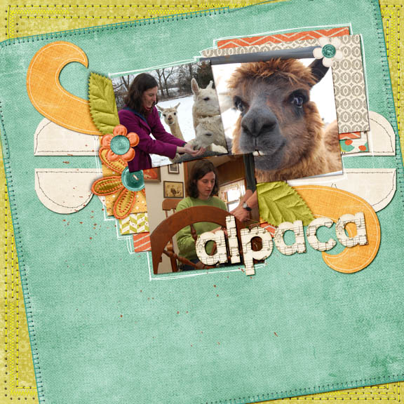 Alpaca spinning!