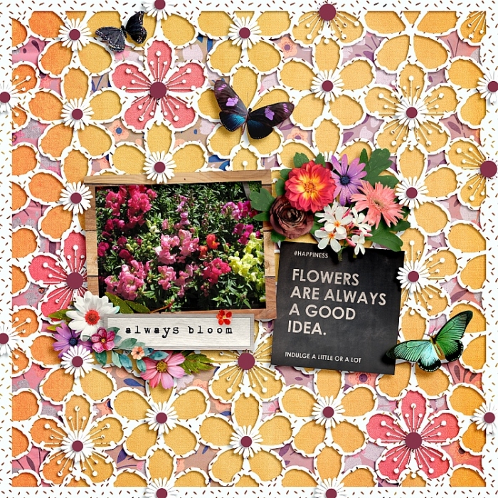 Always Bloom