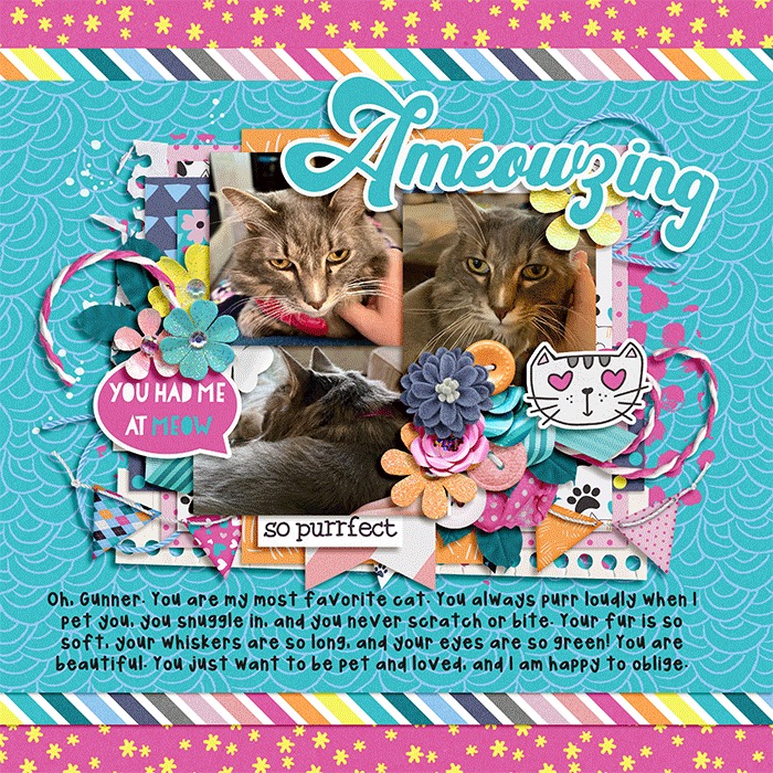 Ameowzing