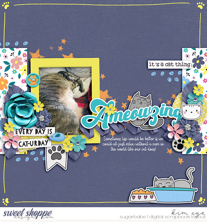 Ameowzing