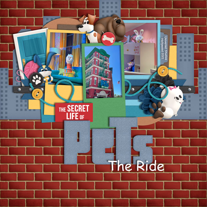 Amsterdam- Life of Pets