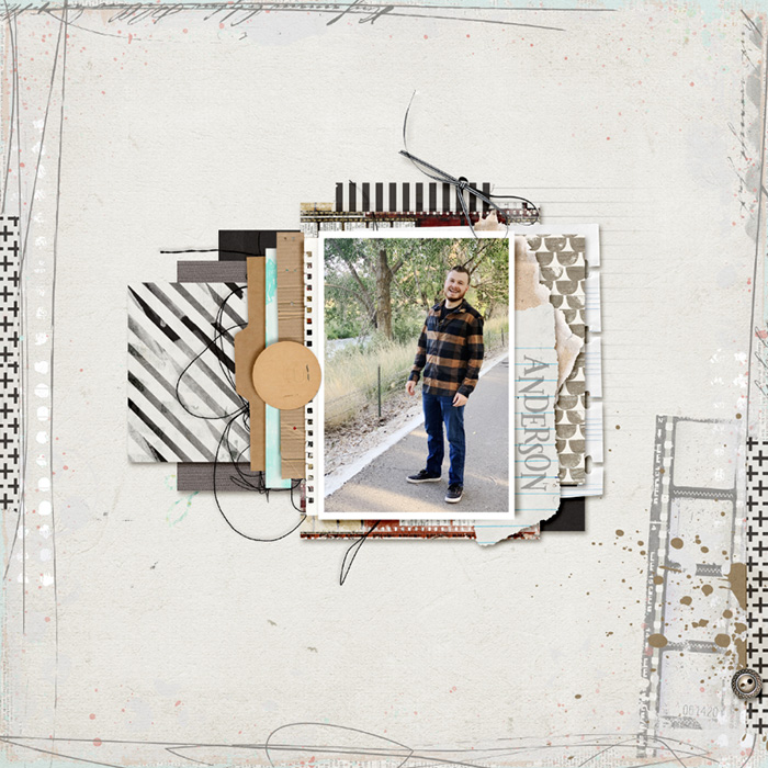 Anderson 2020