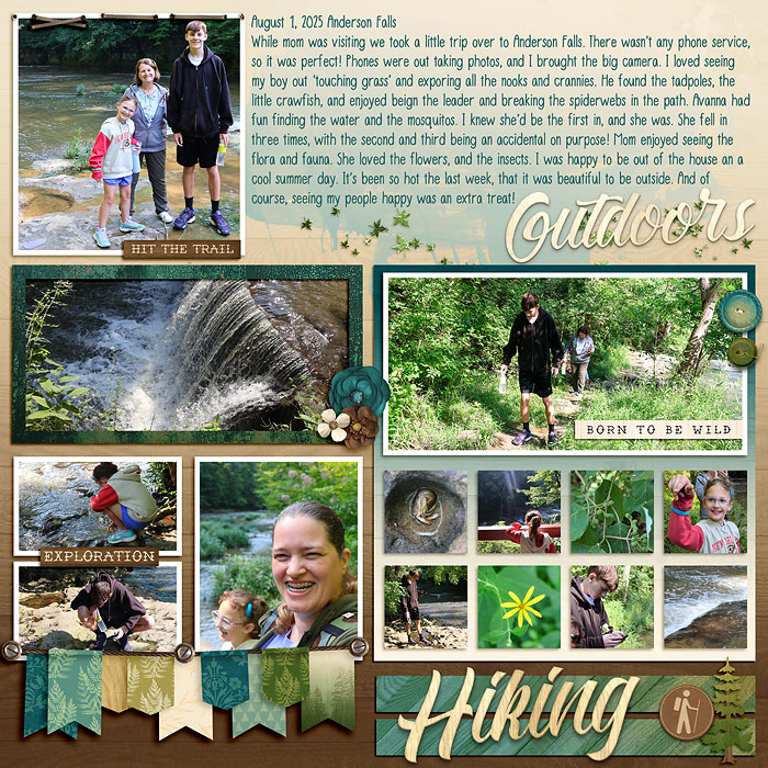 Anderson Falls