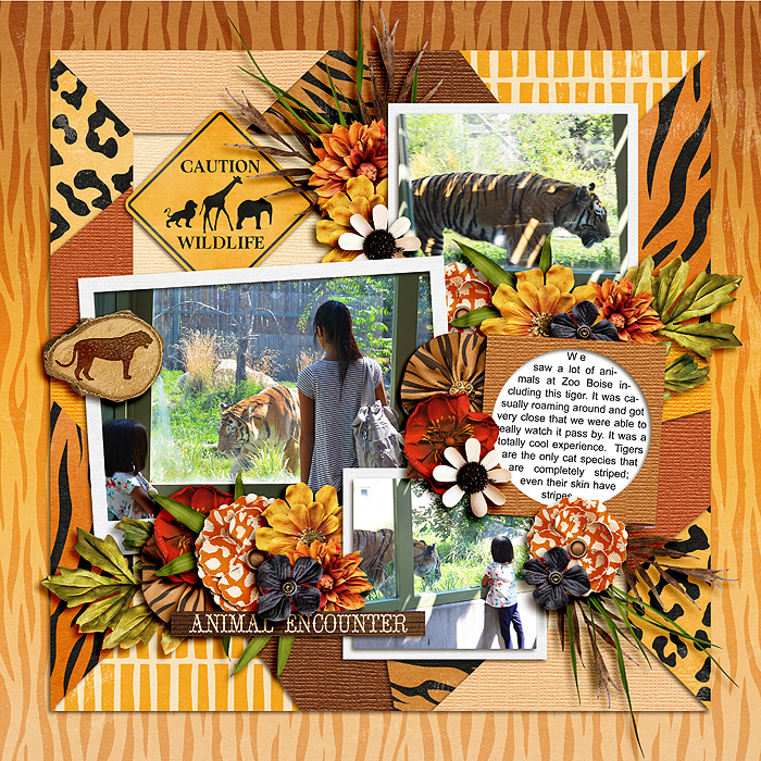 Animal Encounter
