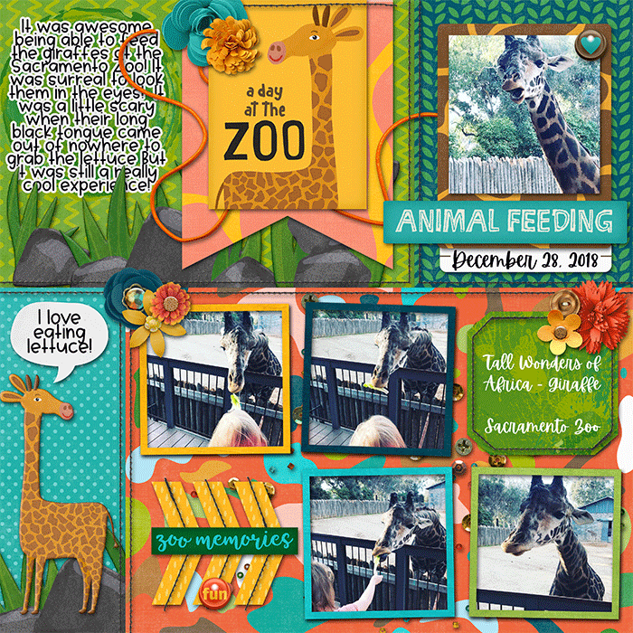 Animal Feeding