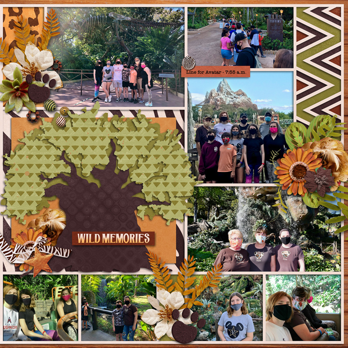 Animal Kingdom, right