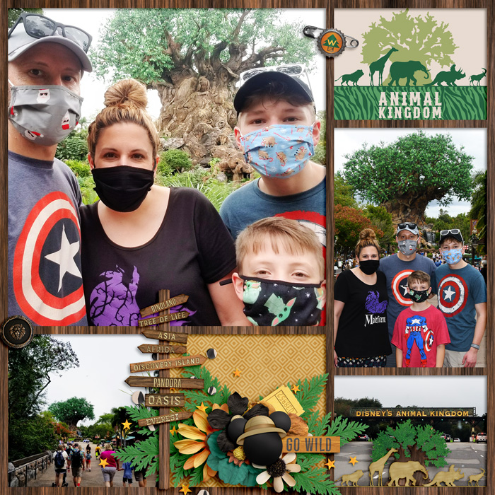 Animal Kingdom Tree of Life 2020