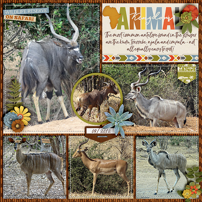 Animal Kingdom