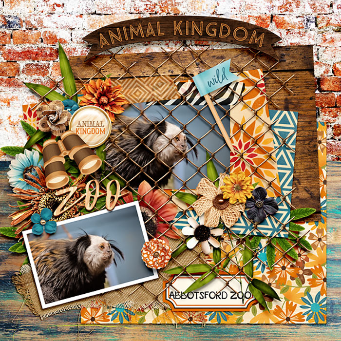 Animal Kingdom