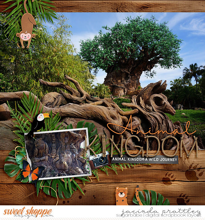 Animal Kingdom