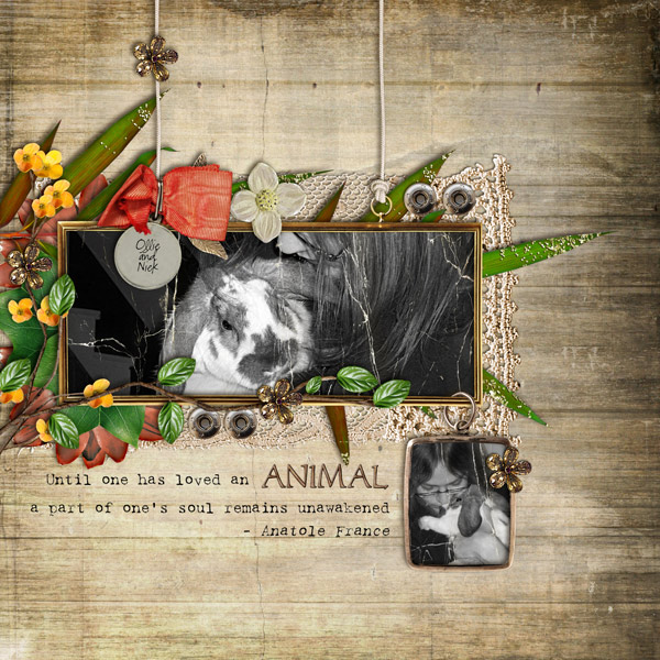 Animal Love