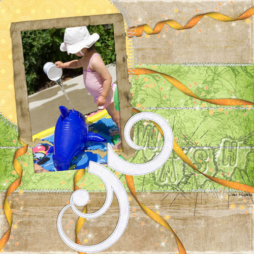 ANIMATION --- Wash the Dolphin