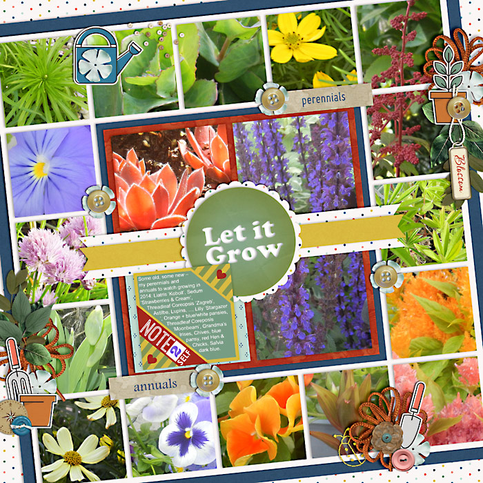 Annuals and Perennials 2014
