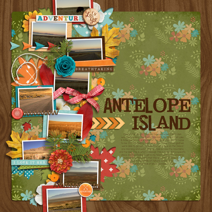 Antelope Island