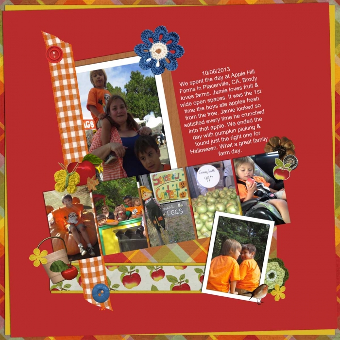 Apple Hill 2013