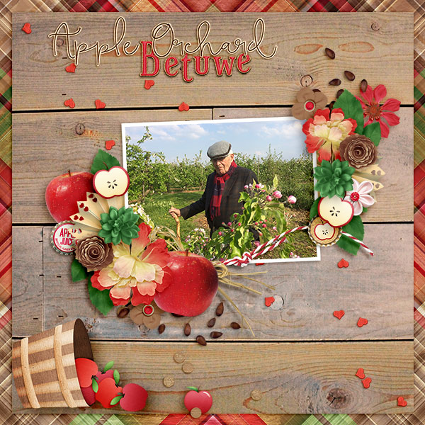 Apple Orchard Betuwe