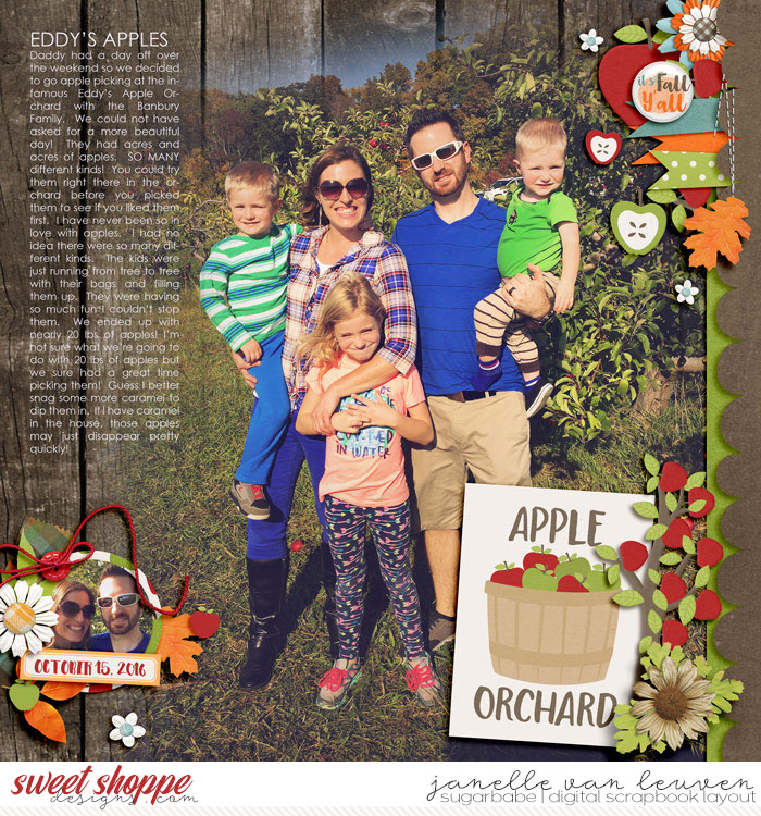 Apple Orchard