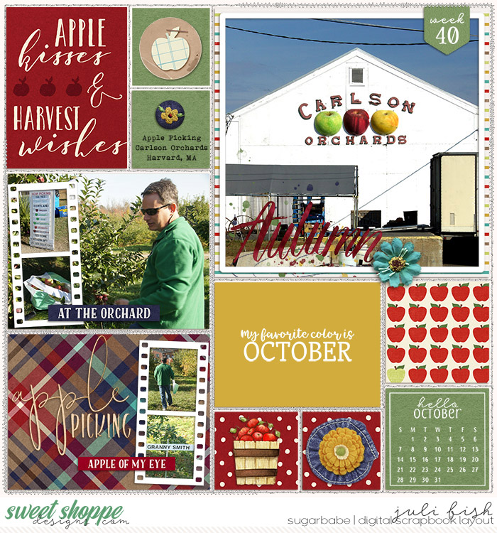 Apple Picking - Carlson Orchards