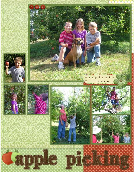 Apple Picking