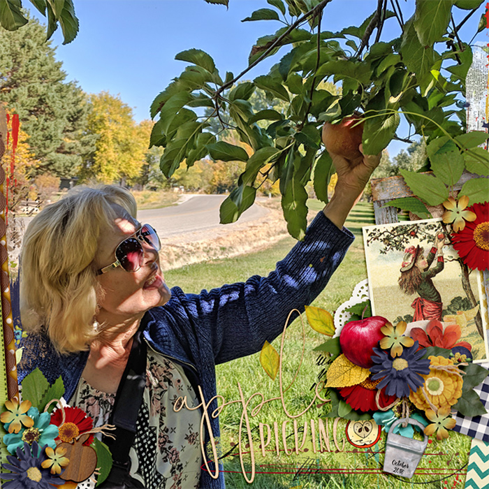 apple picking