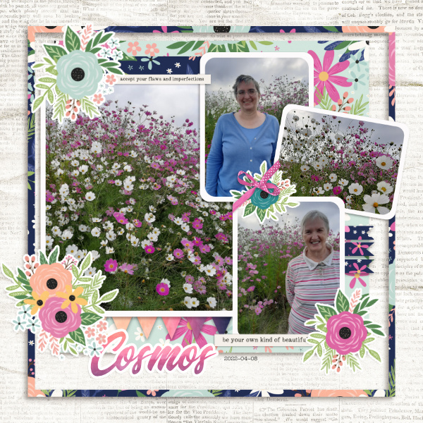 Apr22 TorT7b
