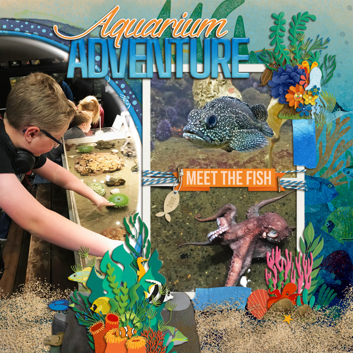 Aquarium Adventure