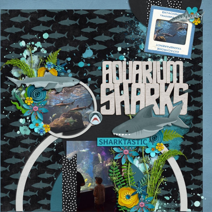 Aquarium Sharks