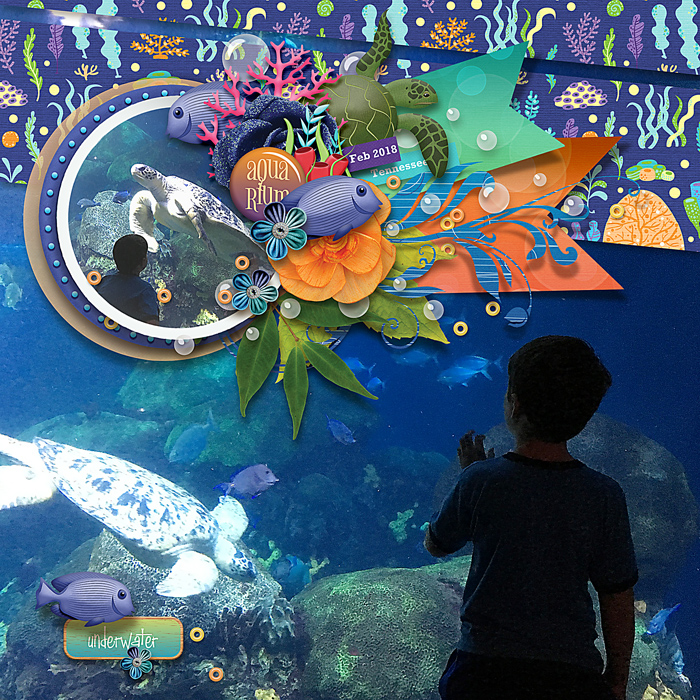 Aquarium