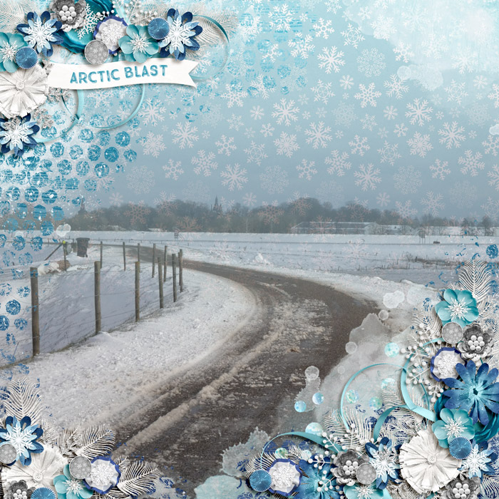 Arctic Blast
