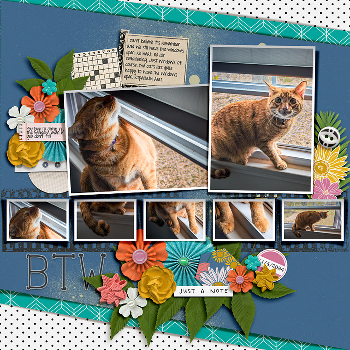 Ares Window Cat