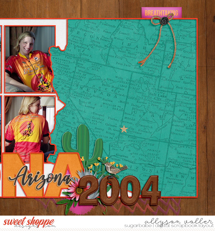Arizona 2004 right