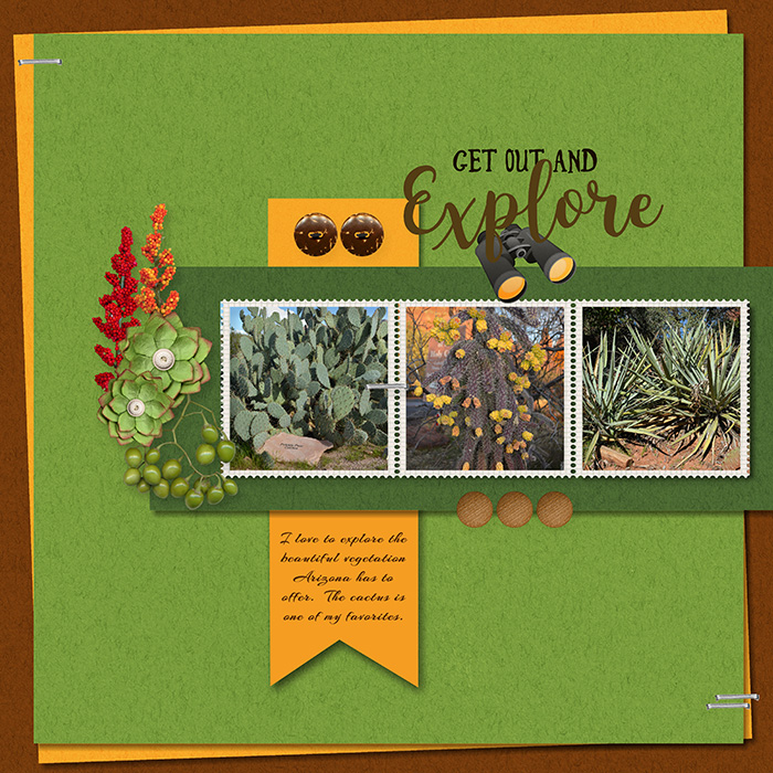 Arizona Cactus