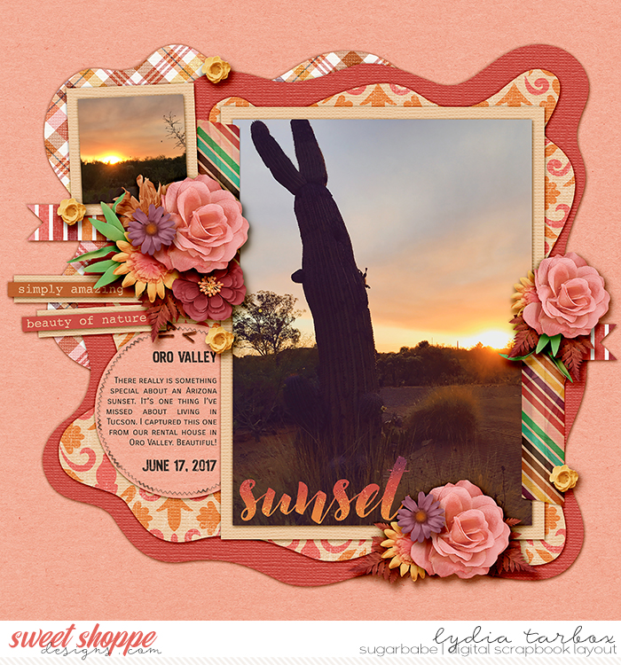 Arizona Sunset