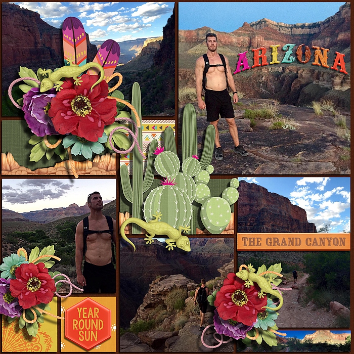 Arizona