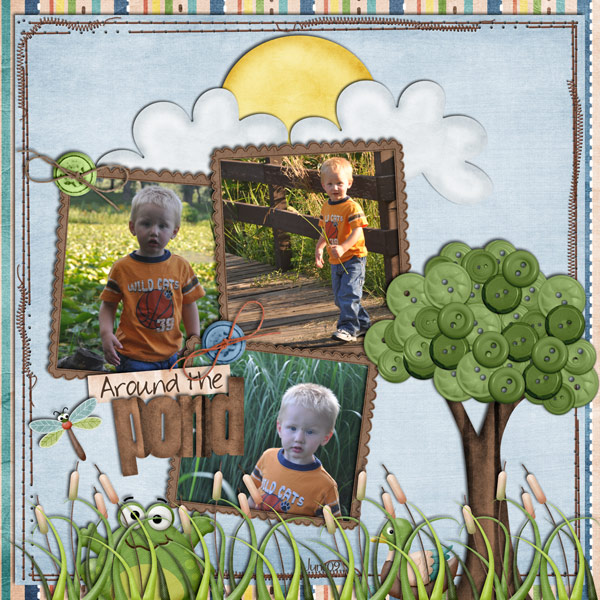 Around the Pond