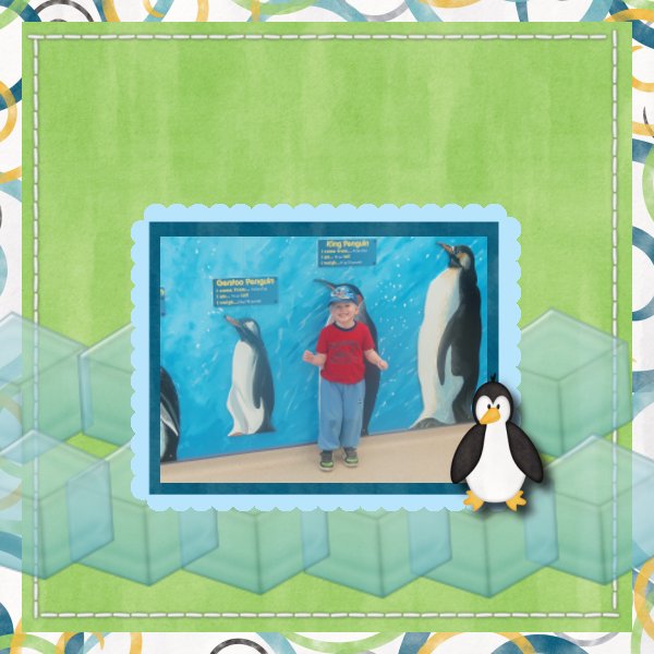 As tall as a penguin